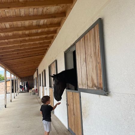 מלון קורצ'ה House Of Horses Shtepia E Kuajve מראה חיצוני תמונה