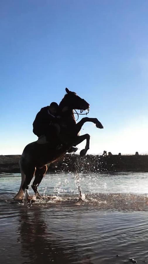 מלון קורצ'ה House Of Horses Shtepia E Kuajve מראה חיצוני תמונה
