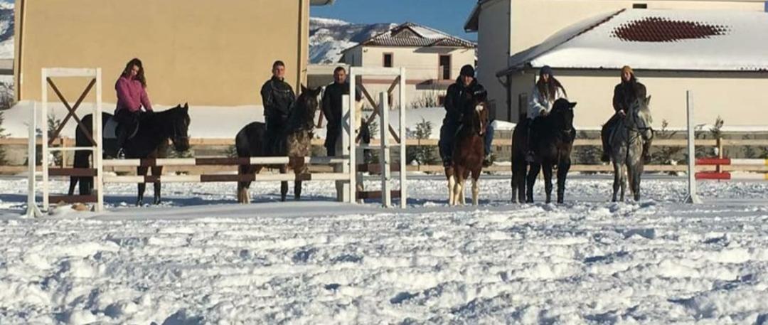 מלון קורצ'ה House Of Horses Shtepia E Kuajve מראה חיצוני תמונה