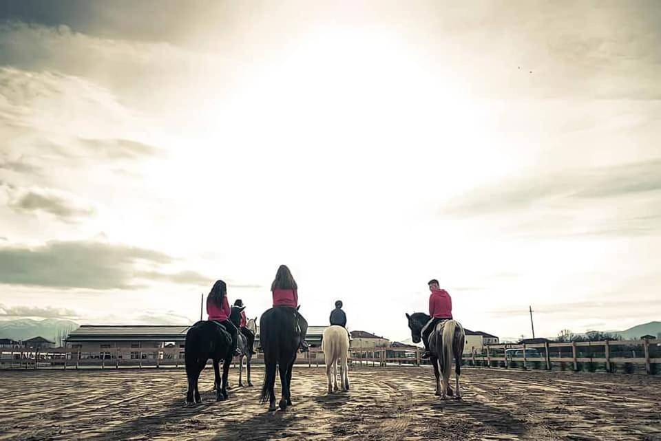 מלון קורצ'ה House Of Horses Shtepia E Kuajve מראה חיצוני תמונה
