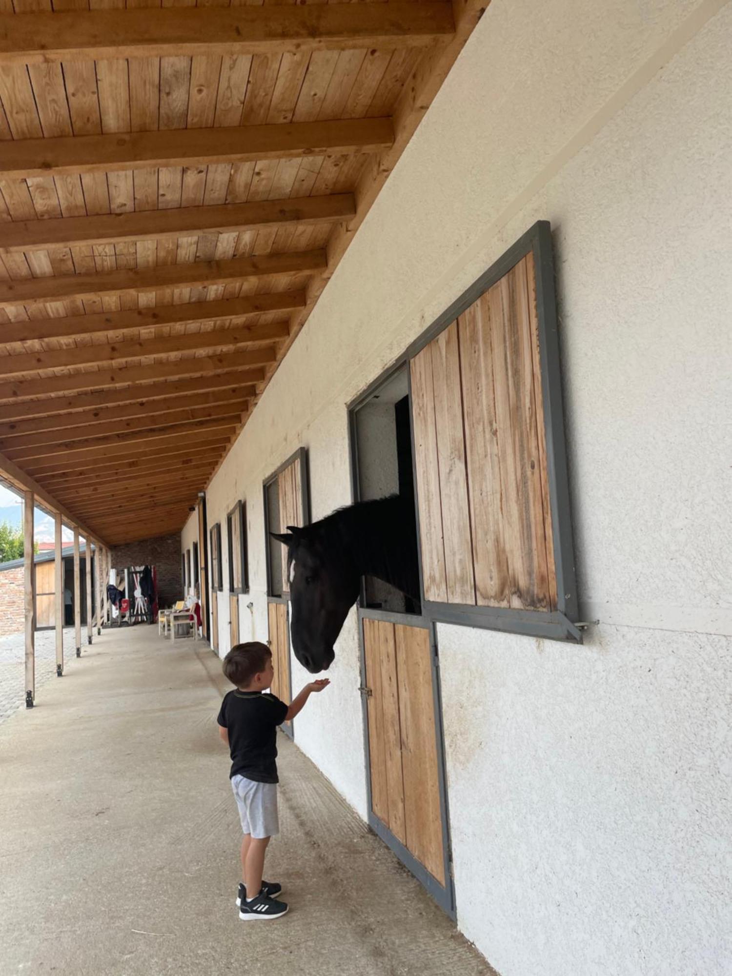 מלון קורצ'ה House Of Horses Shtepia E Kuajve מראה חיצוני תמונה